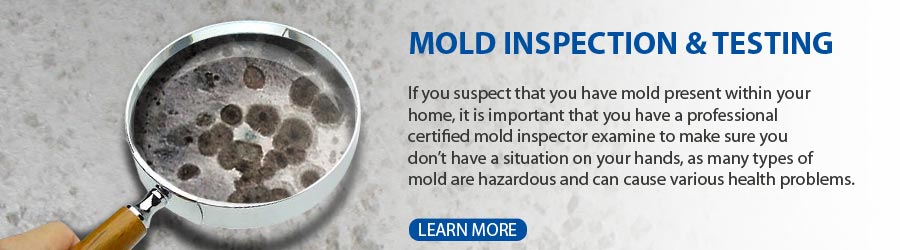 Certified mold inspection