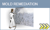 Mold remediation PA banner