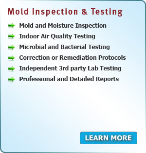 Services Area PA - Mold Inspection and Testing