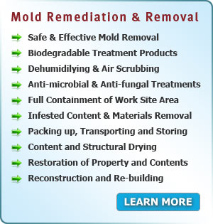 Services Area PA - Mold Remediation and Removal