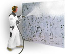 Mold Remediation Bucks County PA Pennsylvania 